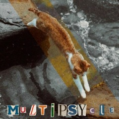 Multipsycle