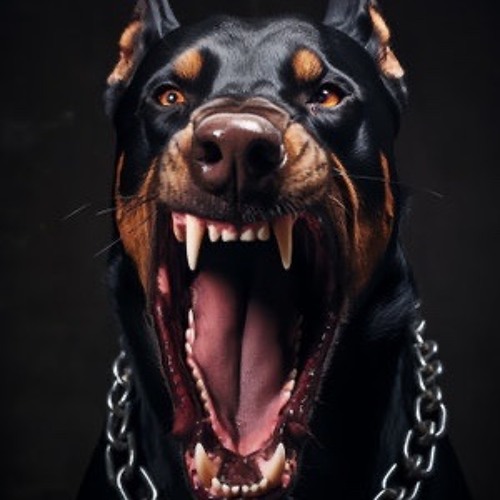 Scintiphiko, Vici - Los Perros Ladran.wav