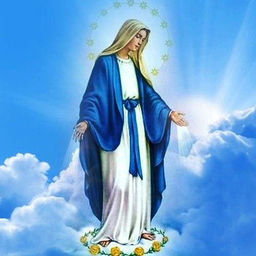 يا عذراء يا ام النور اظهرى لينا ظهور