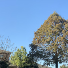 everyone is outpacing me