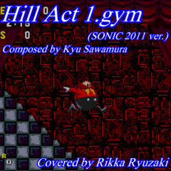 [Sonic.EXE - The Game] Hill Act 1.gym (cover, SONIC 2011 ver.)