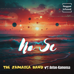 No Se - Reggae Electronic Rastaman Edit