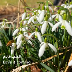 الحب قادم (Love is coming) - feat. Catalus