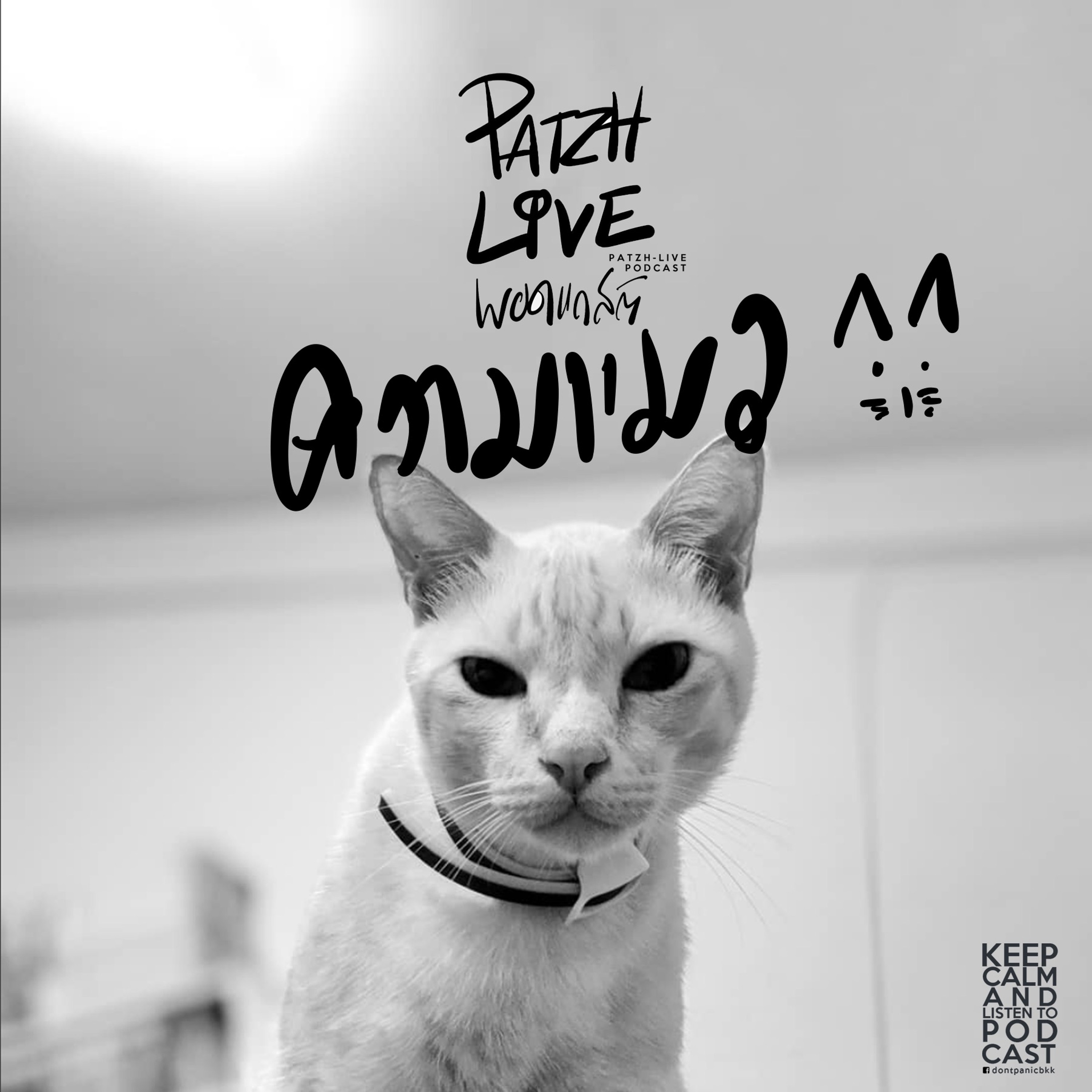 PATZH-LIVE podcast : ep01 : ความแมว