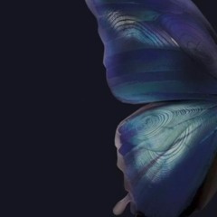 KTYB x FEDDINI - NESSI ENNOUM.mp3