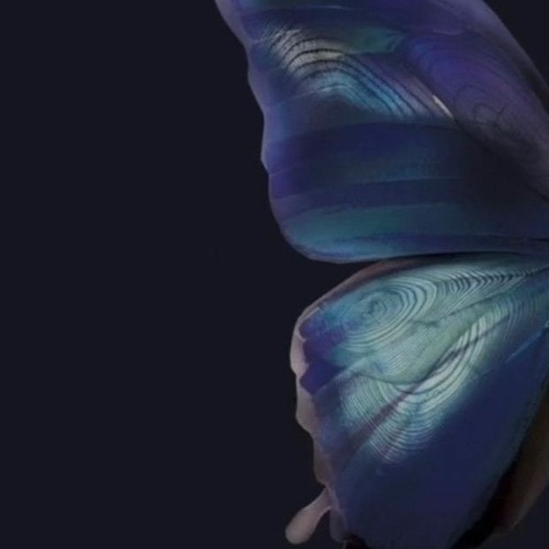 KTYB x FEDDINI - NESSI ENNOUM.mp3