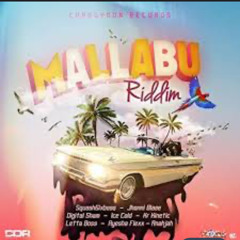 Mallabu Riddim Mixed By
