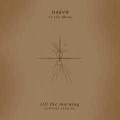 Till The Morning (Stripped Version) [feat. Lily Meola]