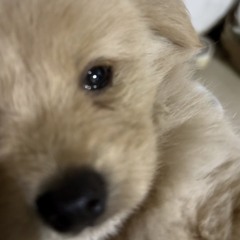 fall €lips @10x19v