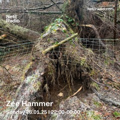 Zee Hammer - 26th January 2025