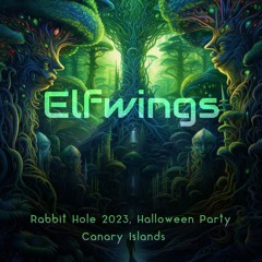 Elfwings @ Rabbit Hole | Halloween party 2023 | Tenerife, Canary Islands | In the Purgatorium