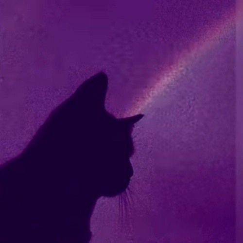 龙少女 BGM DjWasser (TikTok version) .mp3