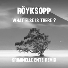 Röyksopp - What Else Is There ? (Kriminelle Ente Remix)
