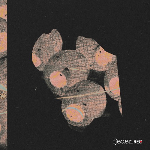 fjeden rec: kokolores & coordese at double trouble 2025