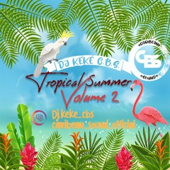 DJ Kéké C.B.S. - Tropical Summer Vol.2