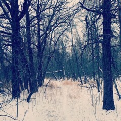 SMASH THE SHACKLES OF YOUR SLAVERY