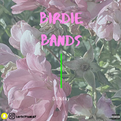 birdy bands (prod.birdiebands)