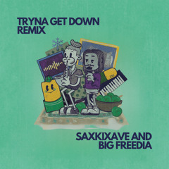 Tryna Get Down (Remix) Ft Big Freedia