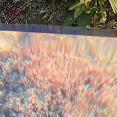 plunge foamer_20230707