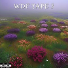 WDF TAPE 3