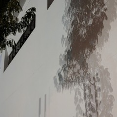 When the Snow Buries Our Tracks