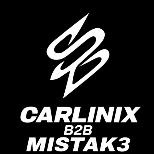 CARLINIX B2B MISTAK3