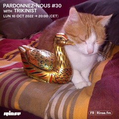 Pardonnez-nous #30 with Trikinist - 10 Octobre 2022