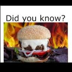 BurgerOnMayo (bishbattle)