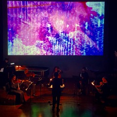 Five Pieces for Chamber Orchestra IV