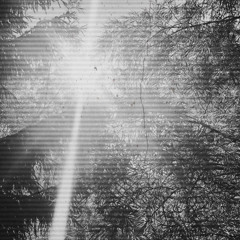 BART - Untitled006