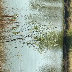 FAmilyFellowship.com Today July 18