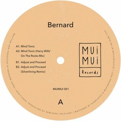 PREMIERE: Bernard - Mind Tonic (Harry Wills' On The Rock Mix)