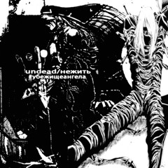 undead/нежить #rottingcorpse