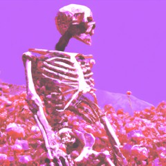 ily