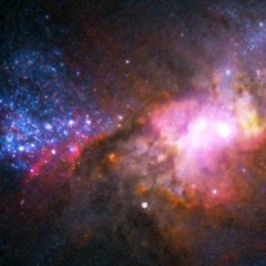 I Am The Cosmos (42420)