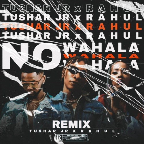 Stream No Wahala feat. Kizz Daniel & Tiwa Savage(TUSHAR JR & RAHUL) by ...