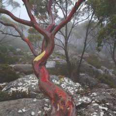 кровь (prod.def3ct)