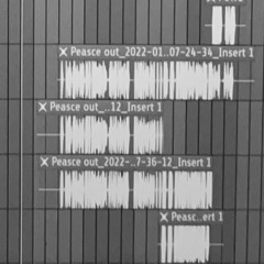 Peace Out(Remix)[feat. VIS JACK]