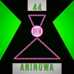 DVTN―44 ANINOWA
