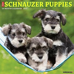 [Read] EBOOK 📍 Just Schnauzer Puppies 2023 Wall Calendar by  Willow Creek Press KIND