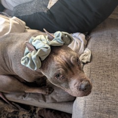 Dance, love get high