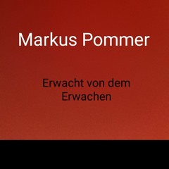 Markus Pommer - erwacht vom erwachen