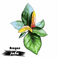 Brayne - Shika(jaba)