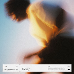 Paul Edwards - Falling