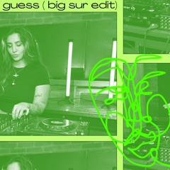 guess (big sur edit)