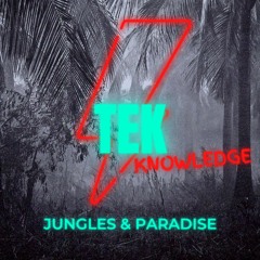 Tek Knowledge - Funky Flav - (Prod. By: Tek Knowledge)