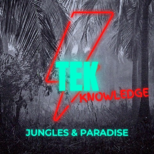 Tek Knowledge - Funky Flav - (Prod. By: Tek Knowledge)
