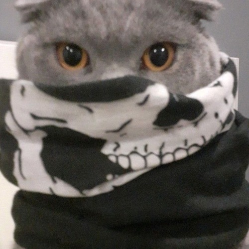 Hy