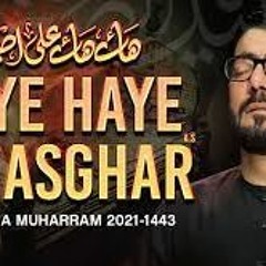 Haye Haye Ali Asghar (as) हय हय अल असगर Mir Hasan Mir Nohay 2021 New Nohay 2021