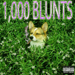 dom$olo 1,000 blunts